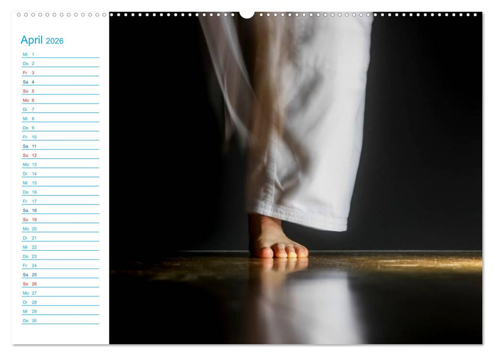 Kampfsport (CALVENDO Wandkalender 2026)