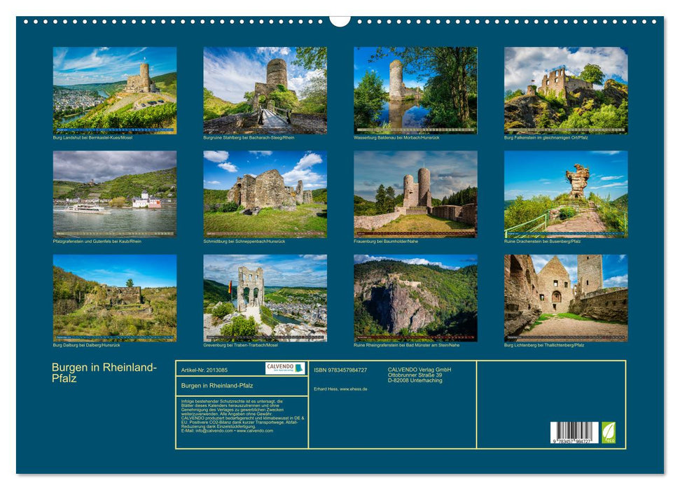 Burgen in Rheinland-Pfalz (CALVENDO Wandkalender 2026)