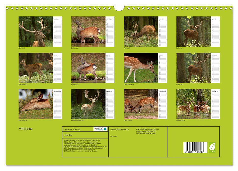 Hirsche (CALVENDO Wandkalender 2026)