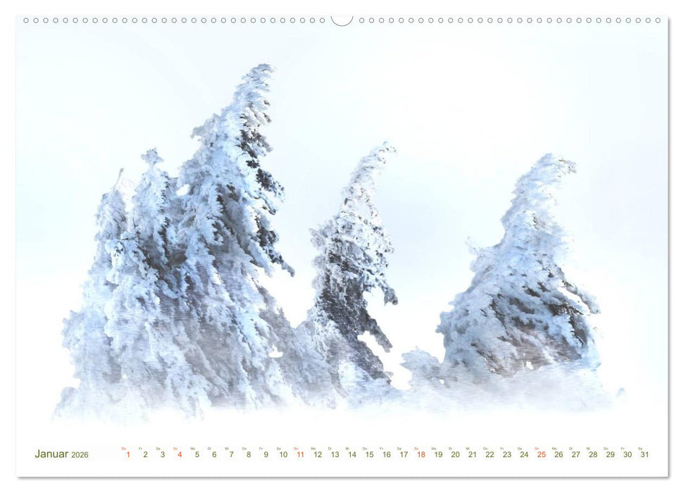 BÄUME - wie gemalt (CALVENDO Premium Wandkalender 2026)