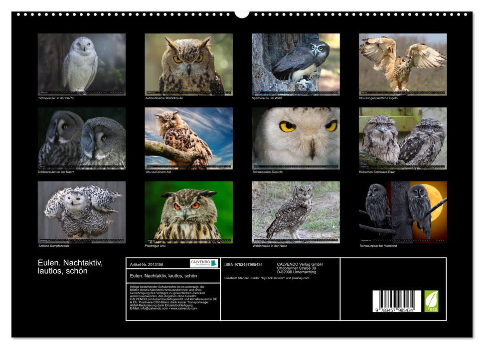 Eulen. Nachtaktiv, lautlos, schön (CALVENDO Premium Wandkalender 2026)