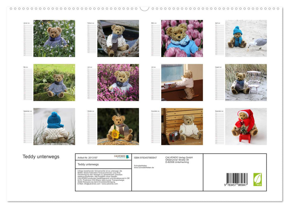 Teddy unterwegs (CALVENDO Premium Wandkalender 2026)