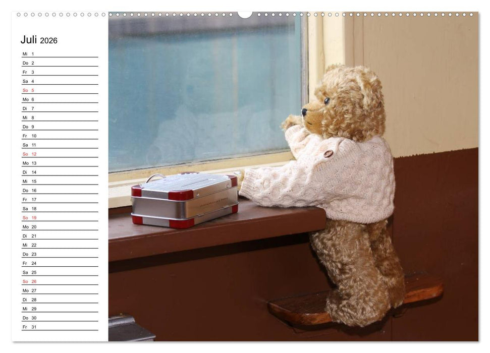Teddy unterwegs (CALVENDO Premium Wandkalender 2026)