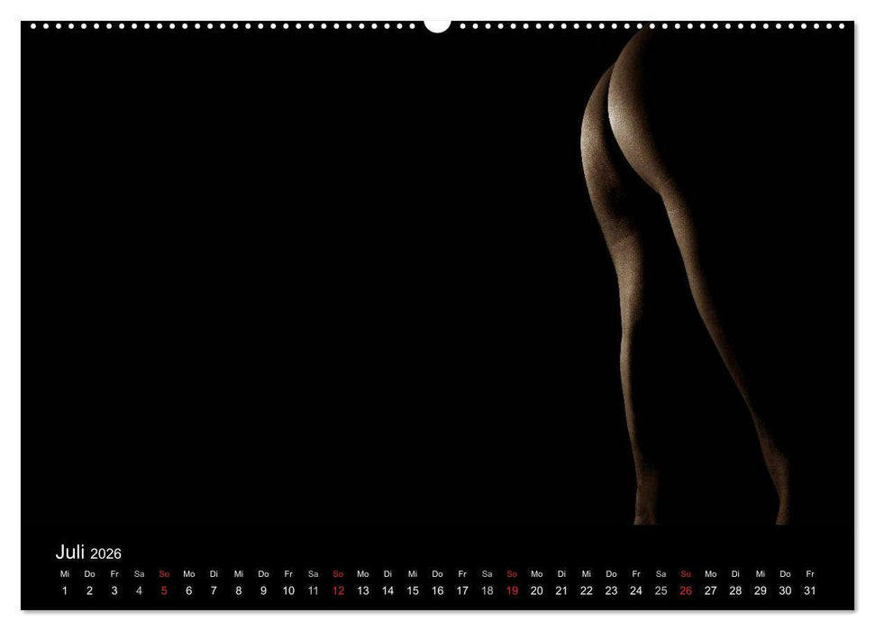 MÄNNER - AKTE ZWISCHEN KRAFT UND SINNLICHKEIT (CALVENDO Premium Wandkalender 2026)