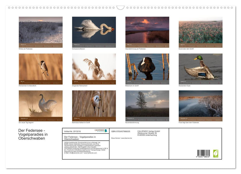 Der Federsee - Vogelparadies in Oberschwaben (CALVENDO Wandkalender 2026)