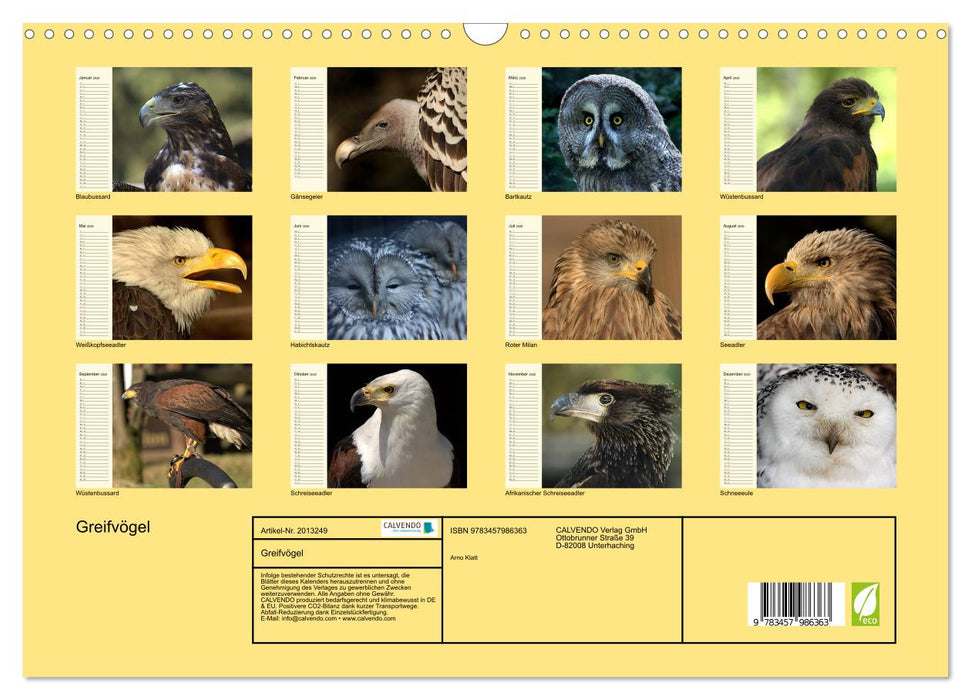 Greifvögel (CALVENDO Wandkalender 2026)