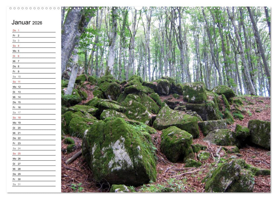 Camino di Assisi - Franziskusweg (CALVENDO Premium Wandkalender 2026)