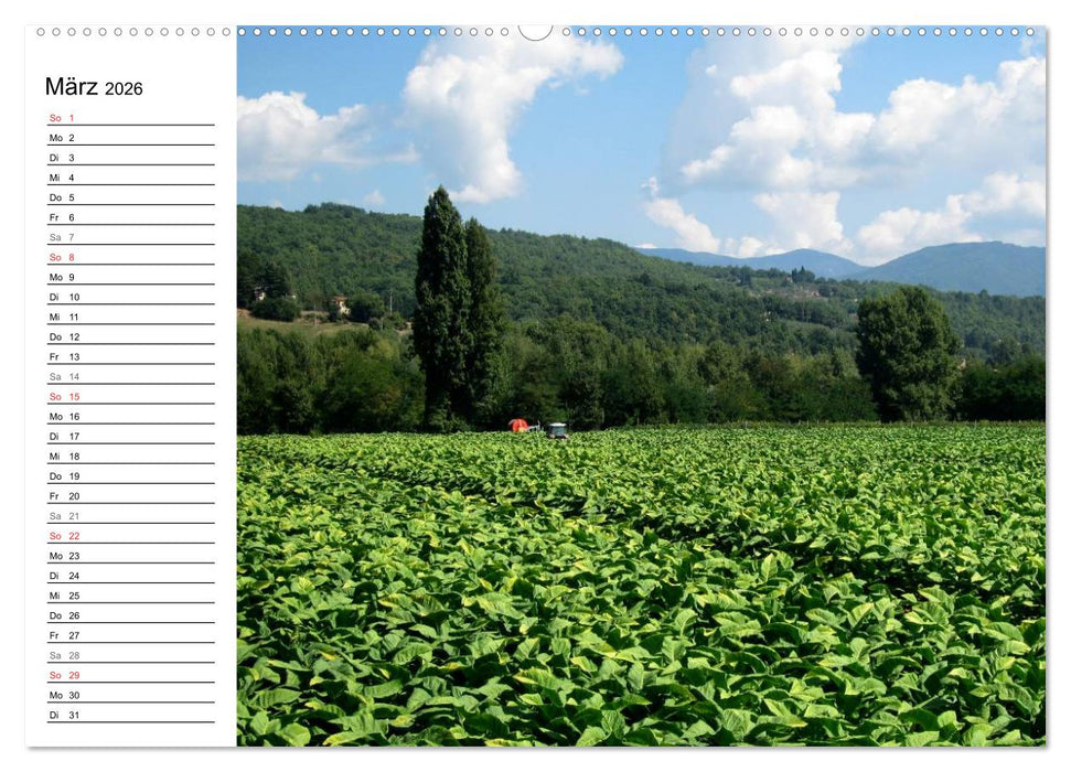 Camino di Assisi - Franziskusweg (CALVENDO Premium Wandkalender 2026)