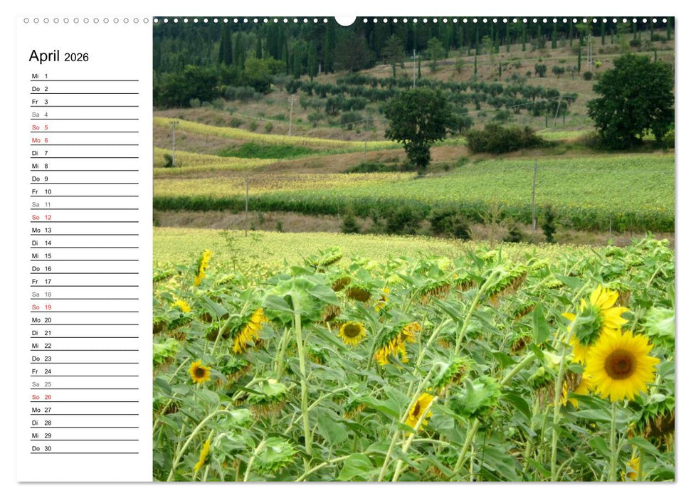 Camino di Assisi - Franziskusweg (CALVENDO Premium Wandkalender 2026)