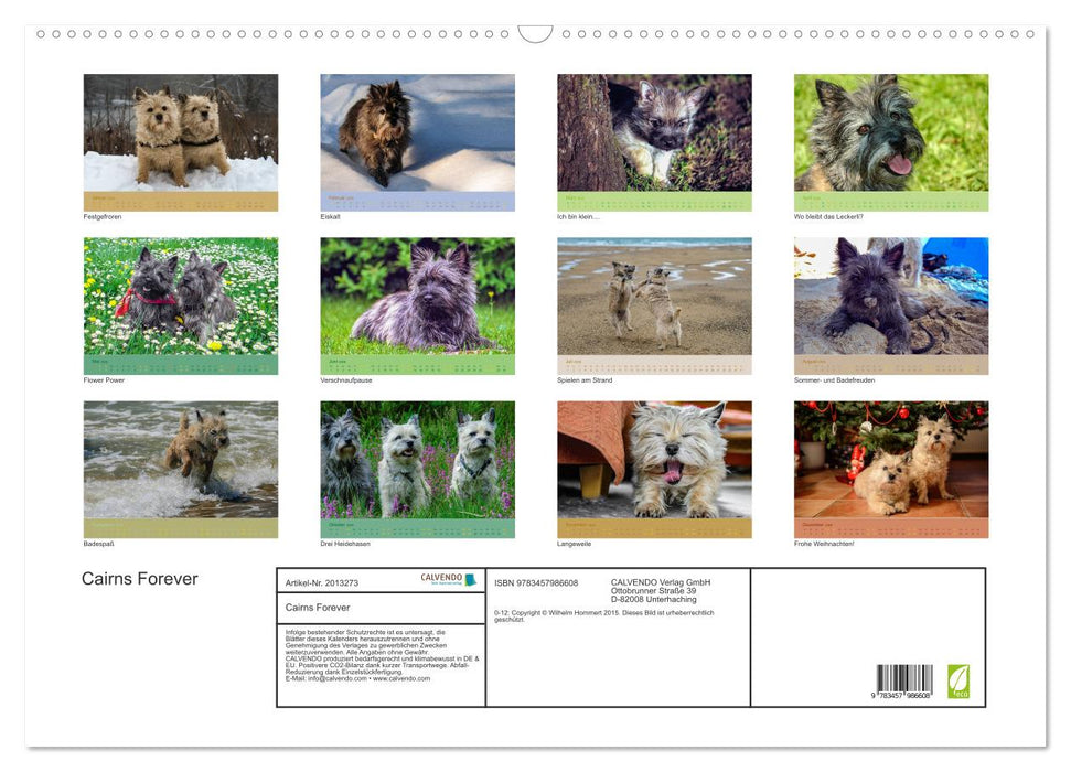 Cairns Forever (CALVENDO Wandkalender 2026)