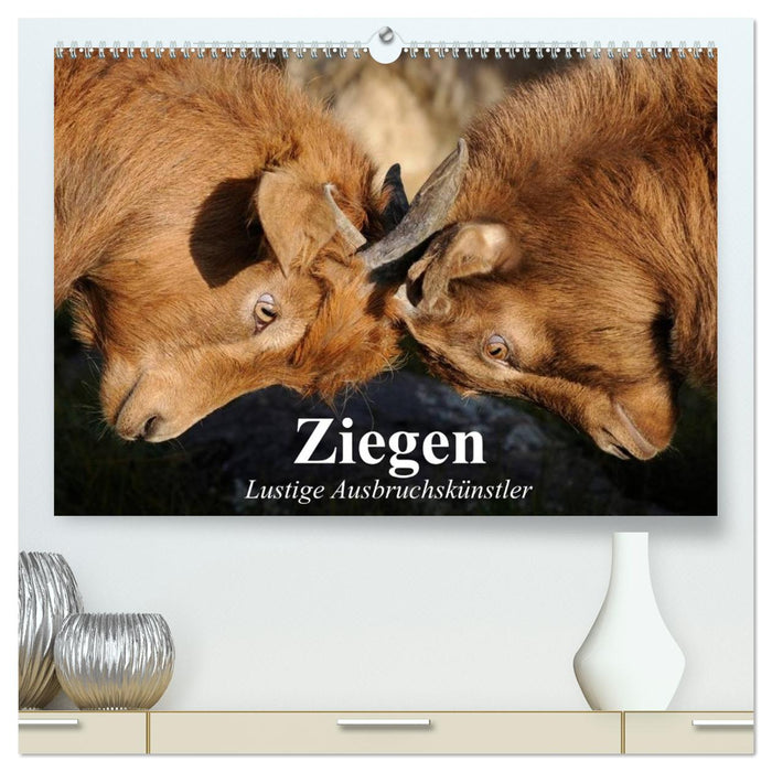 Ziegen. Lustige Ausbruchskünstler (CALVENDO Premium Wandkalender 2026)