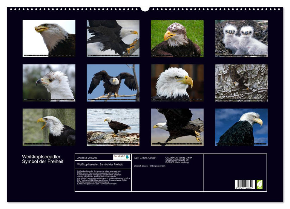 Weißkopfseeadler. Symbol der Freiheit (CALVENDO Wandkalender 2026)