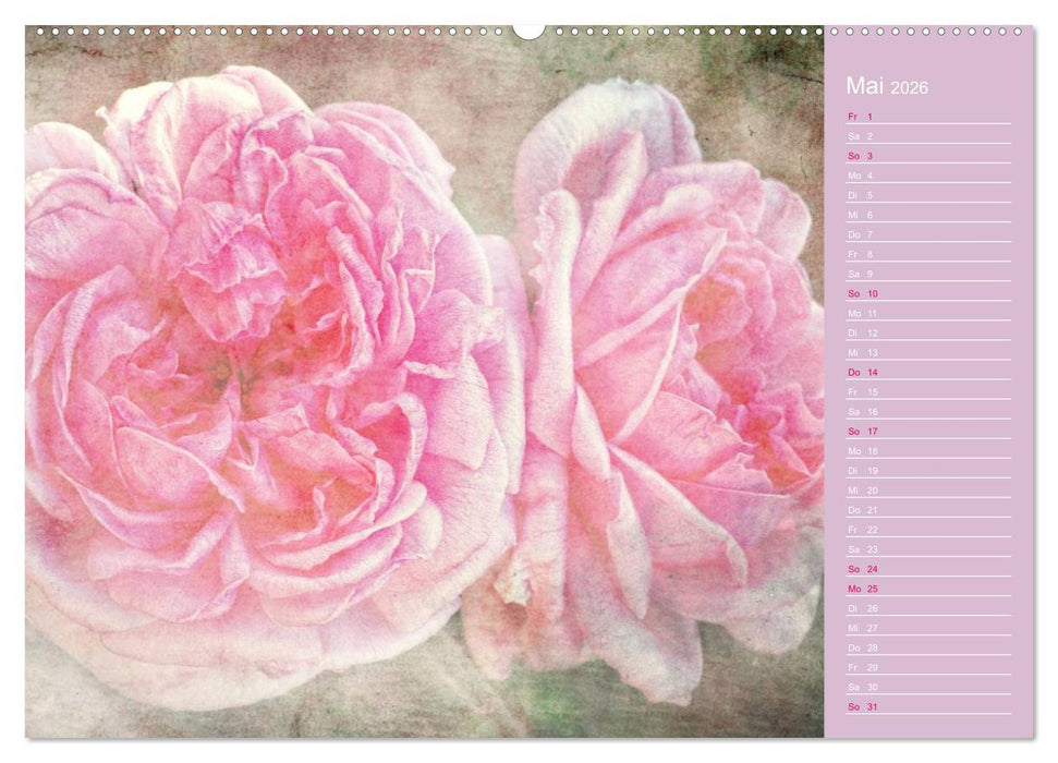 Romantische Rosen (CALVENDO Wandkalender 2026)