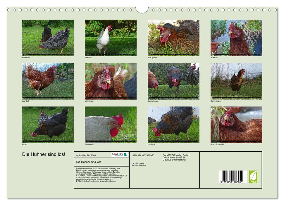 Die Hühner sind los! (CALVENDO Wandkalender 2026)