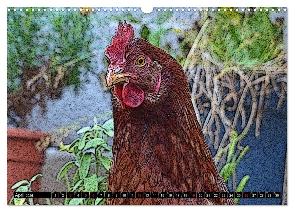 Die Hühner sind los! (CALVENDO Wandkalender 2026)