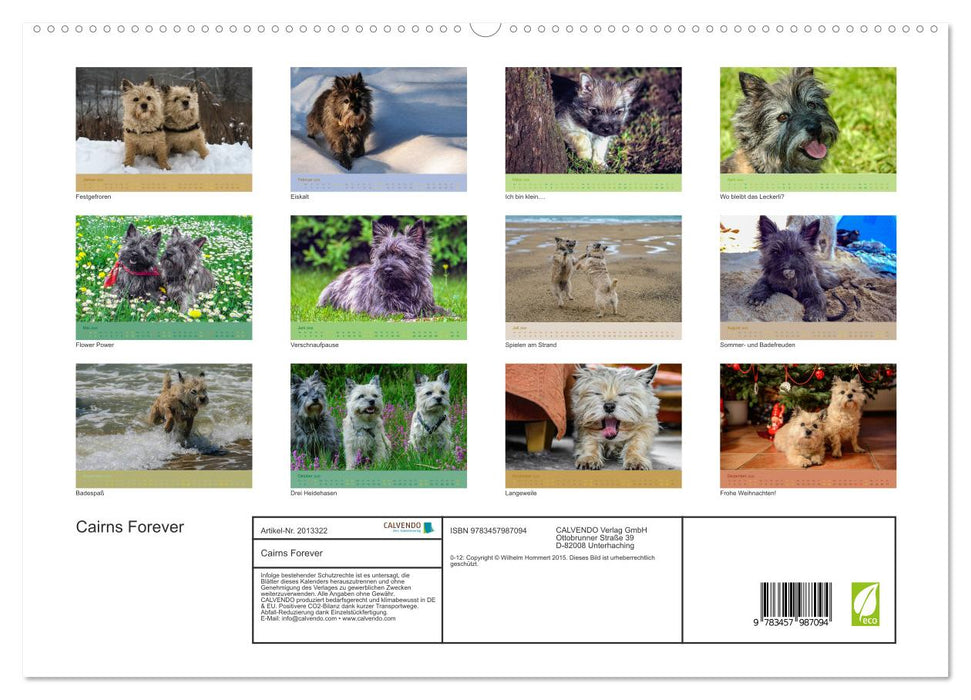 Cairns Forever (CALVENDO Premium Wandkalender 2026)