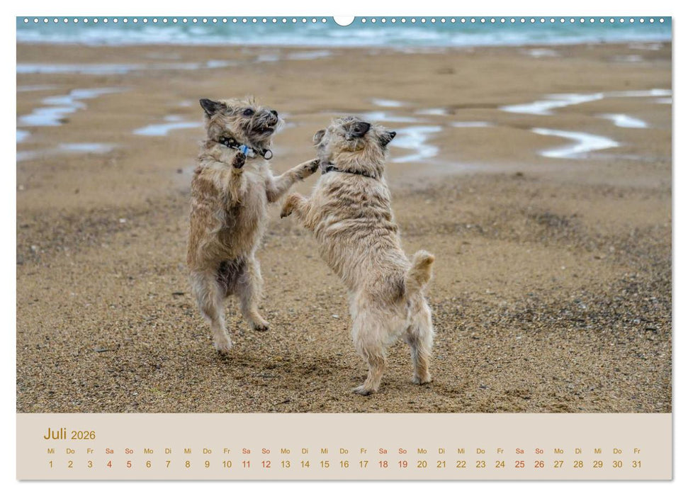Cairns Forever (CALVENDO Premium Wandkalender 2026)