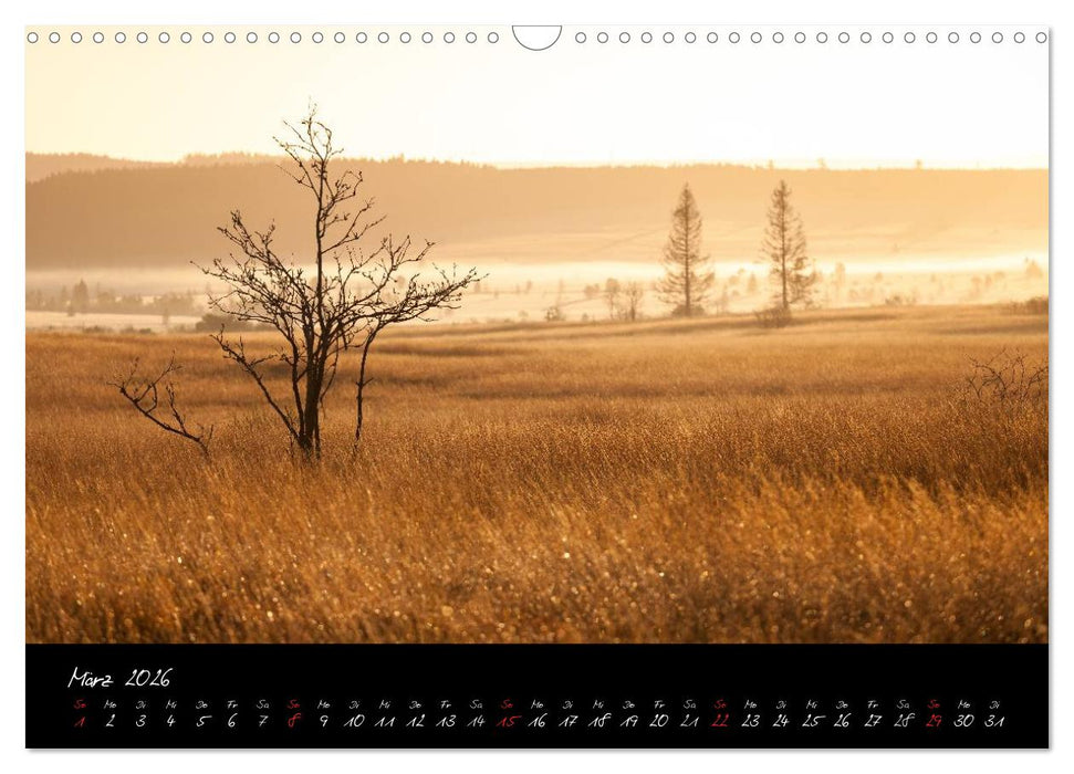 Hochmoor Hohes Venn (CALVENDO Wandkalender 2026)