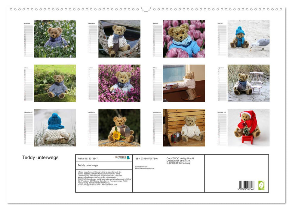 Teddy unterwegs (CALVENDO Wandkalender 2026)