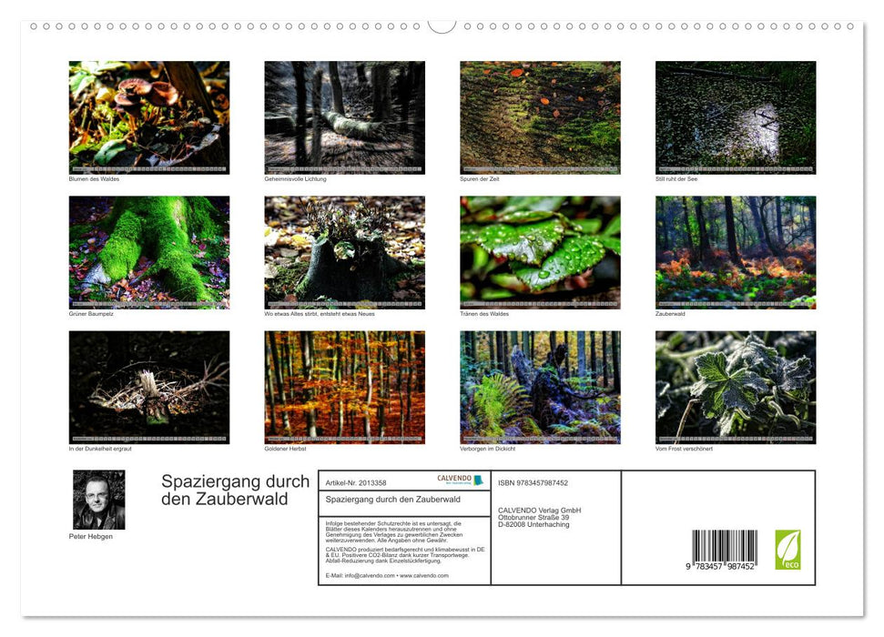 Spaziergang durch den Zauberwald (CALVENDO Premium Wandkalender 2026)