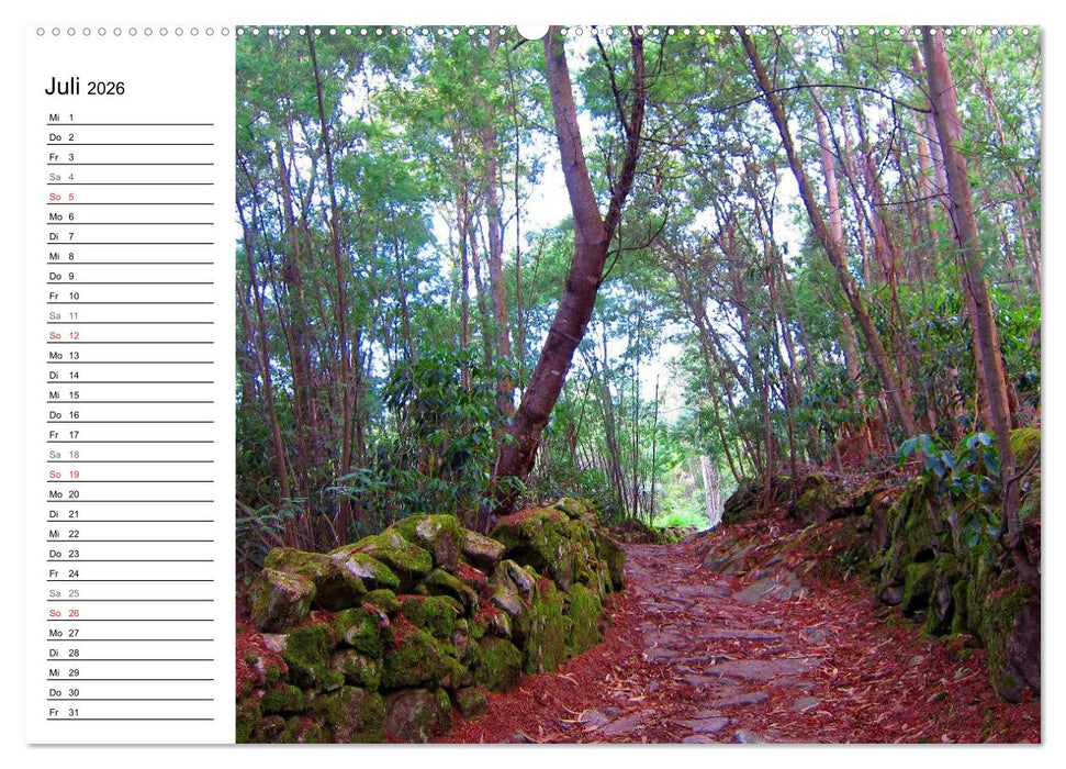 Jakobsweg - Camino Portugues (CALVENDO Premium Wandkalender 2026)