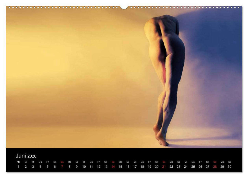 MÄNNER - AKTE ZWISCHEN KRAFT UND SINNLICHKEIT (CALVENDO Wandkalender 2026)