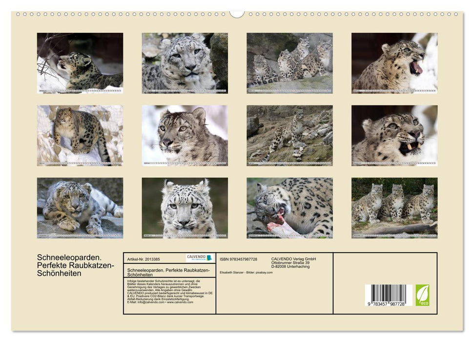 Schneeleoparden. Perfekte Raubkatzen-Schönheiten (CALVENDO Premium Wandkalender 2026)