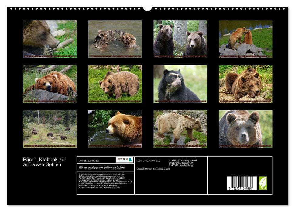 Bären. Kraftpakete auf leisen Sohlen (CALVENDO Premium Wandkalender 2026)