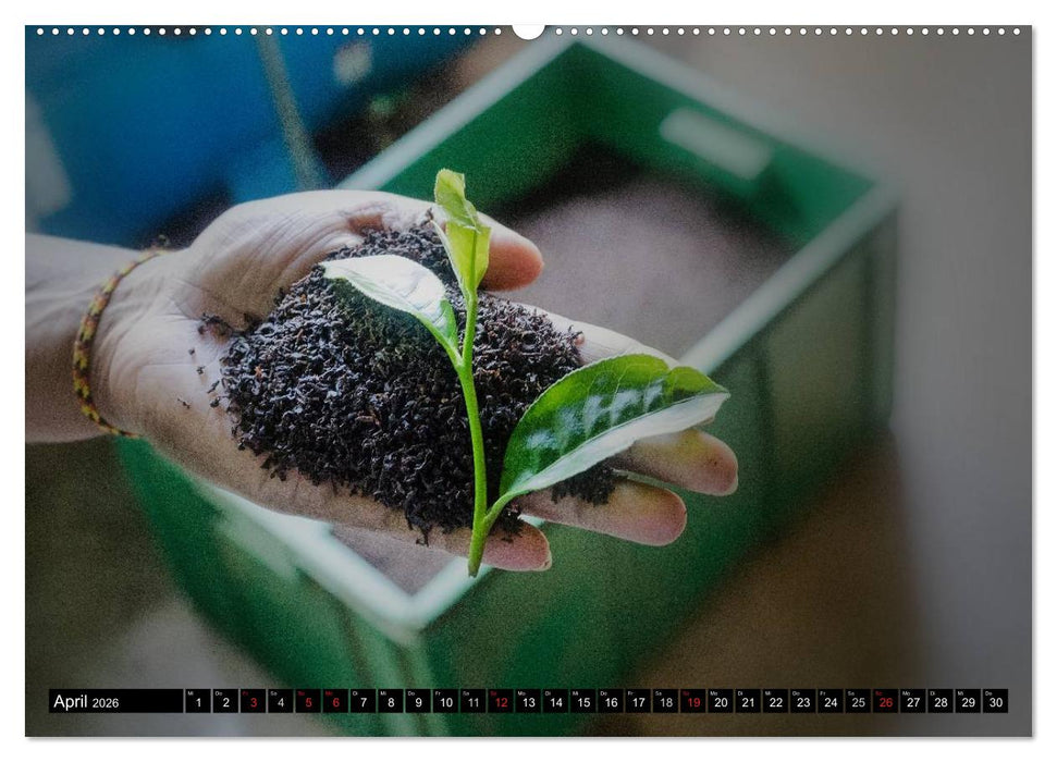 Sri Lanka - Highlights (CALVENDO Wandkalender 2026)