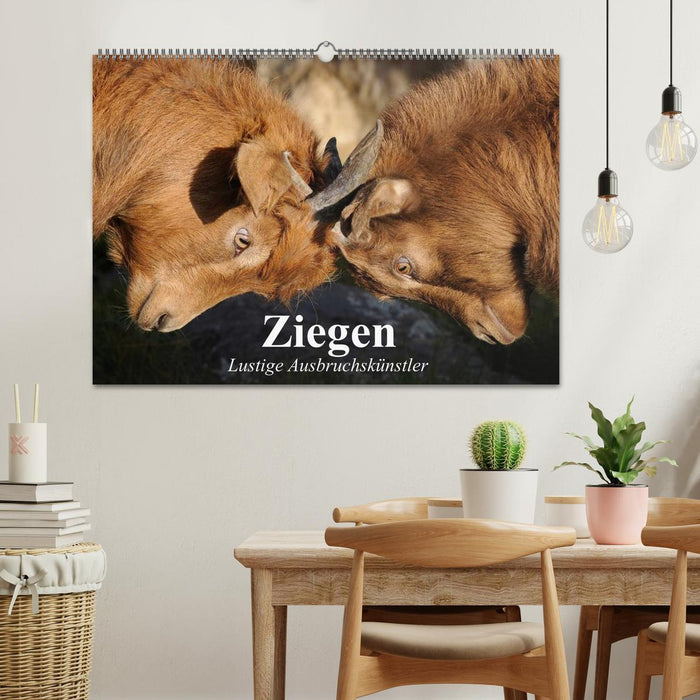 Ziegen. Lustige Ausbruchskünstler (CALVENDO Wandkalender 2026)