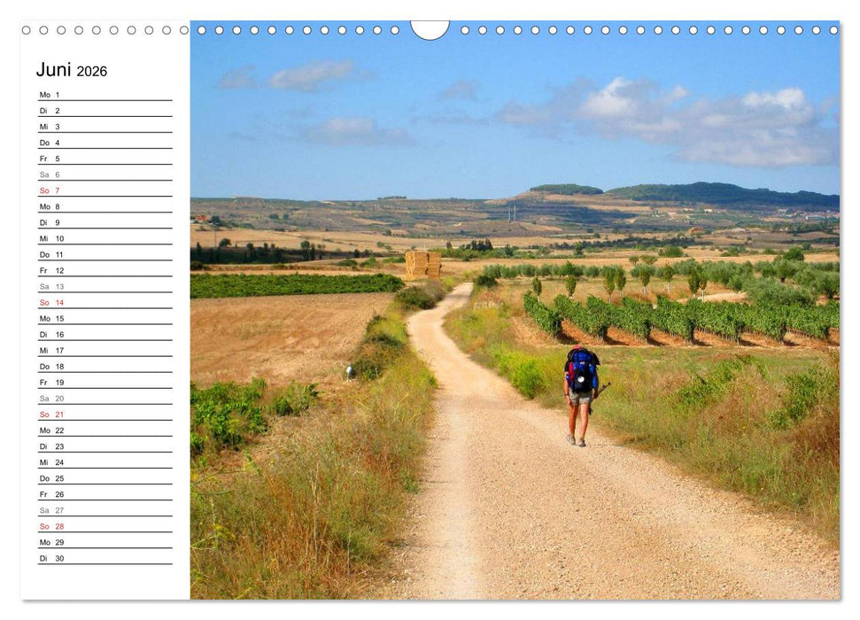 Jakobsweg - Camino Frances (CALVENDO Wandkalender 2026)
