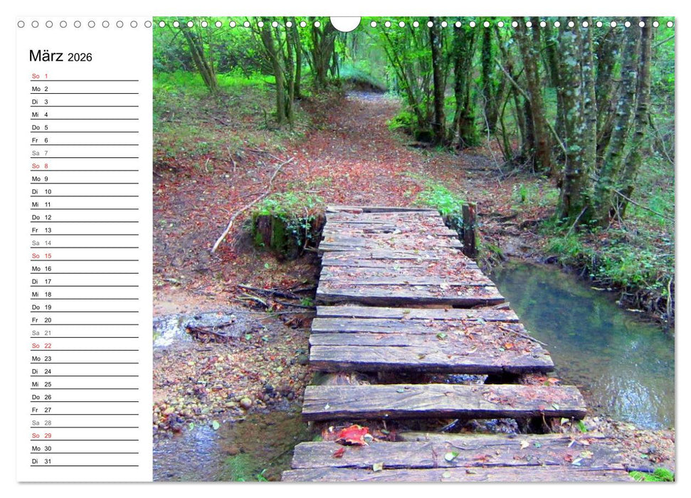 Franziskusweg - Camino di Assisi (CALVENDO Wandkalender 2026)