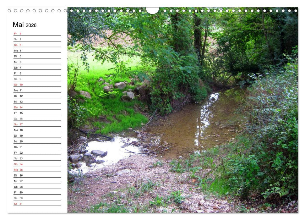 Franziskusweg - Camino di Assisi (CALVENDO Wandkalender 2026)