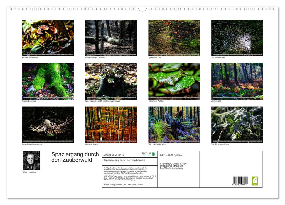 Spaziergang durch den Zauberwald (CALVENDO Wandkalender 2026)