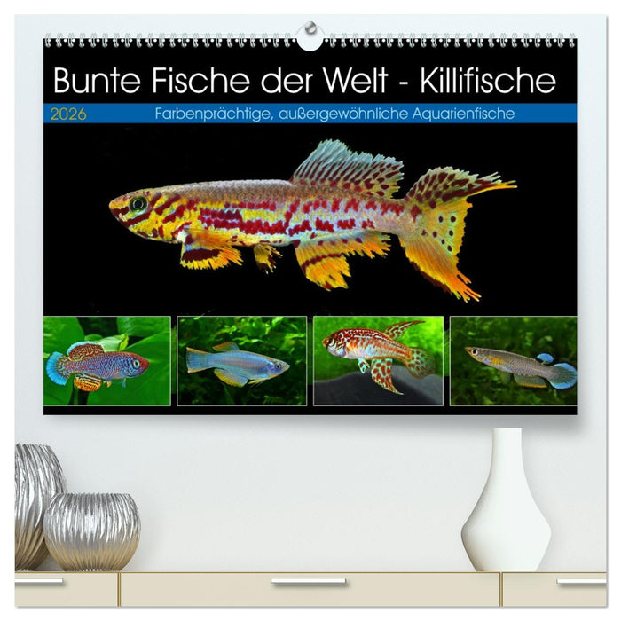 Bunte Fische der Welt - Killifische (CALVENDO Premium Wandkalender 2026)