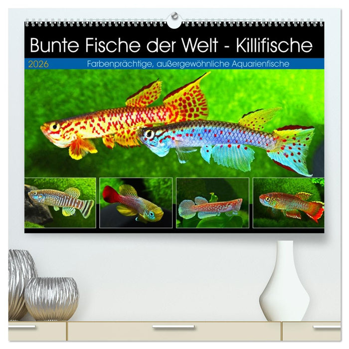 Bunte Fische der Welt - Killifische (CALVENDO Premium Wandkalender 2026)