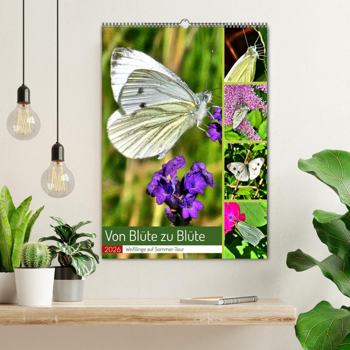 Von Blüte zu Blüte - Weißlinge auf Sommer-Tour (CALVENDO Wandkalender 2026)