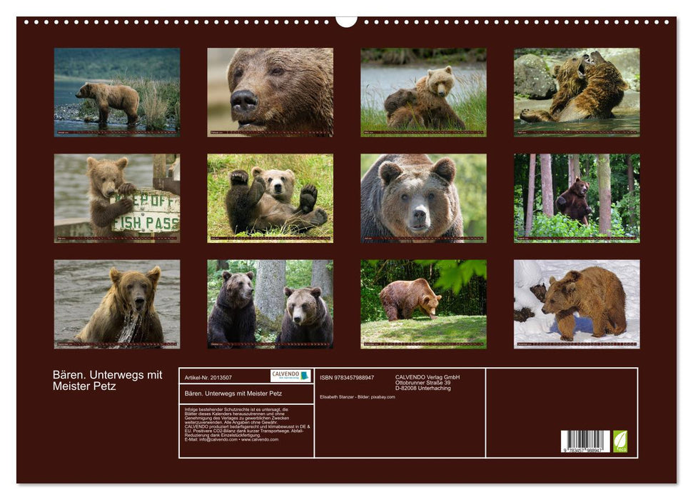 Bären. Unterwegs mit Meister Petz (CALVENDO Wandkalender 2026)