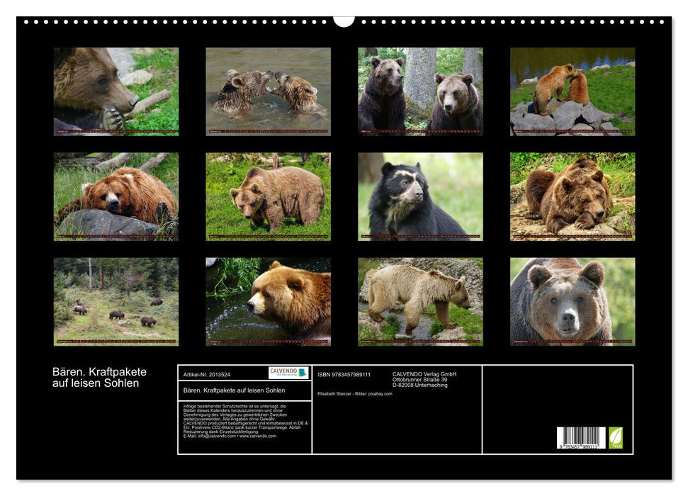 Bären. Kraftpakete auf leisen Sohlen (CALVENDO Wandkalender 2026)