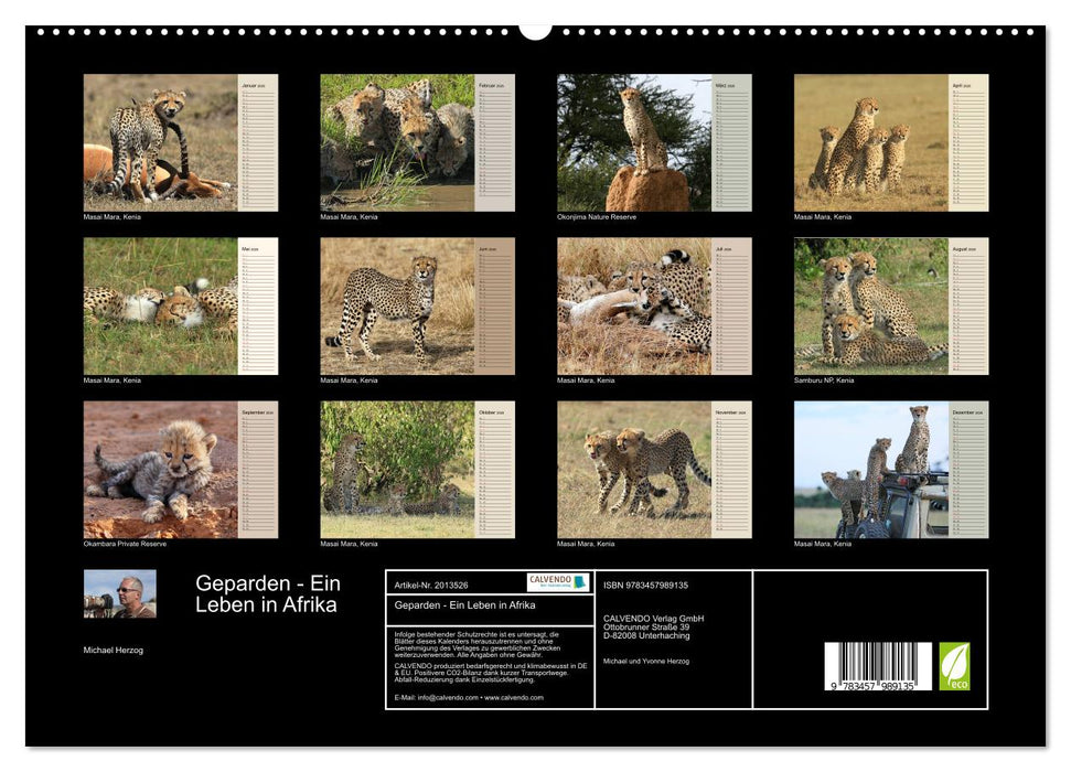 Geparden - Ein Leben in Afrika (CALVENDO Premium Wandkalender 2026)