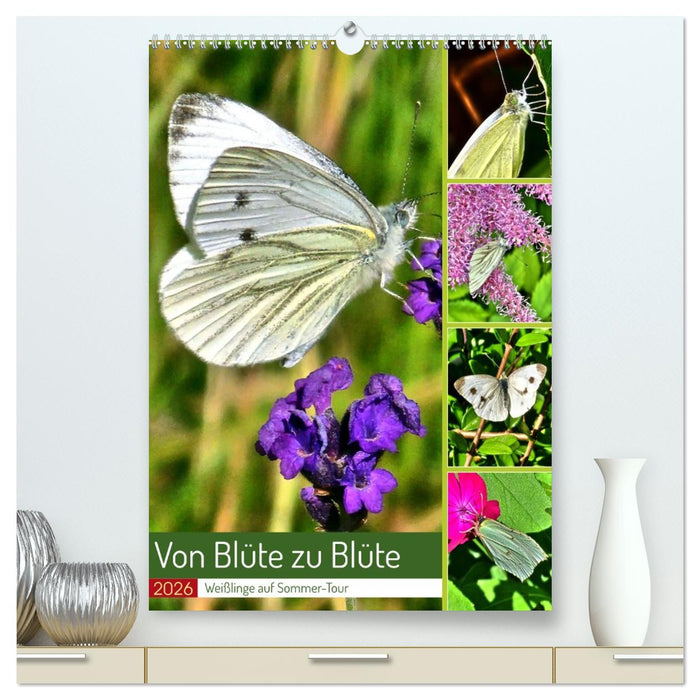 Von Blüte zu Blüte - Weißlinge auf Sommer-Tour (CALVENDO Premium Wandkalender 2026)