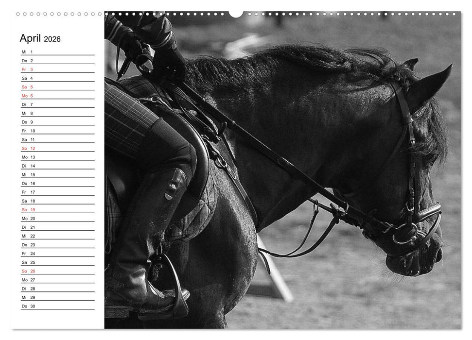 Leidenschaft Pferdesport - Impressionen (CALVENDO Premium Wandkalender 2026)