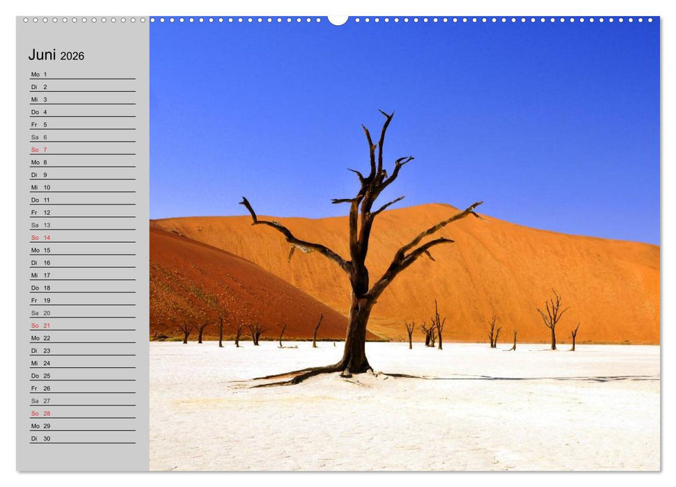 Magische Bäume (CALVENDO Premium Wandkalender 2026)