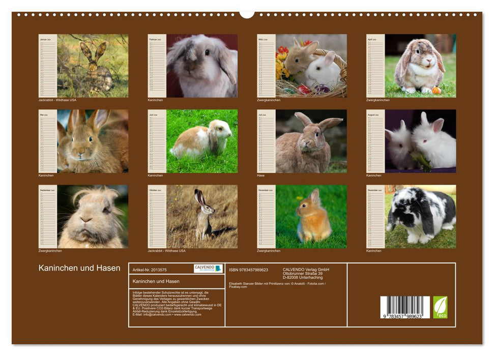 Kaninchen und Hasen (CALVENDO Premium Wandkalender 2026)