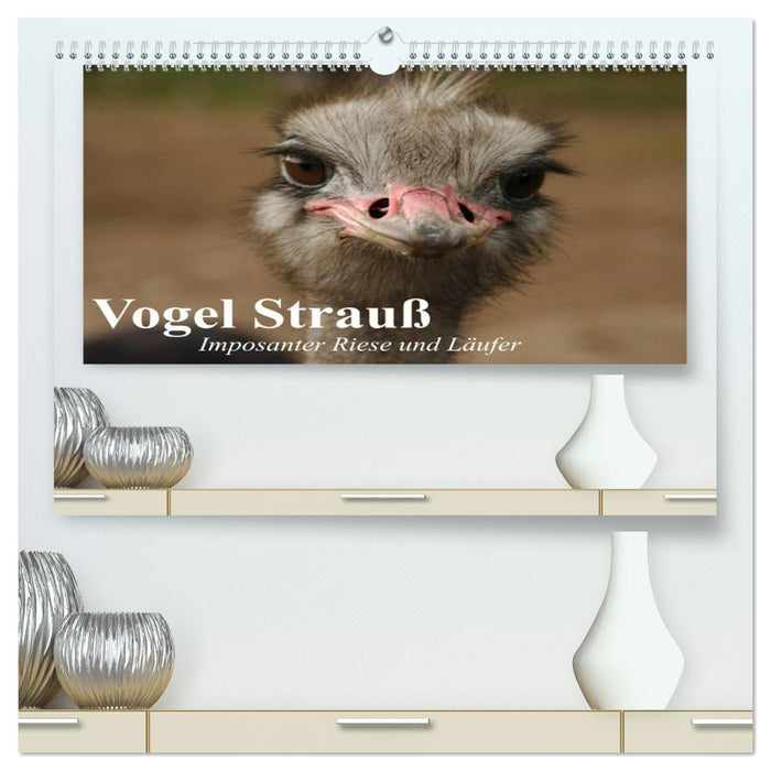 Vogel Strauß. Imposanter Riese und Läufer (CALVENDO Premium Wandkalender 2026)