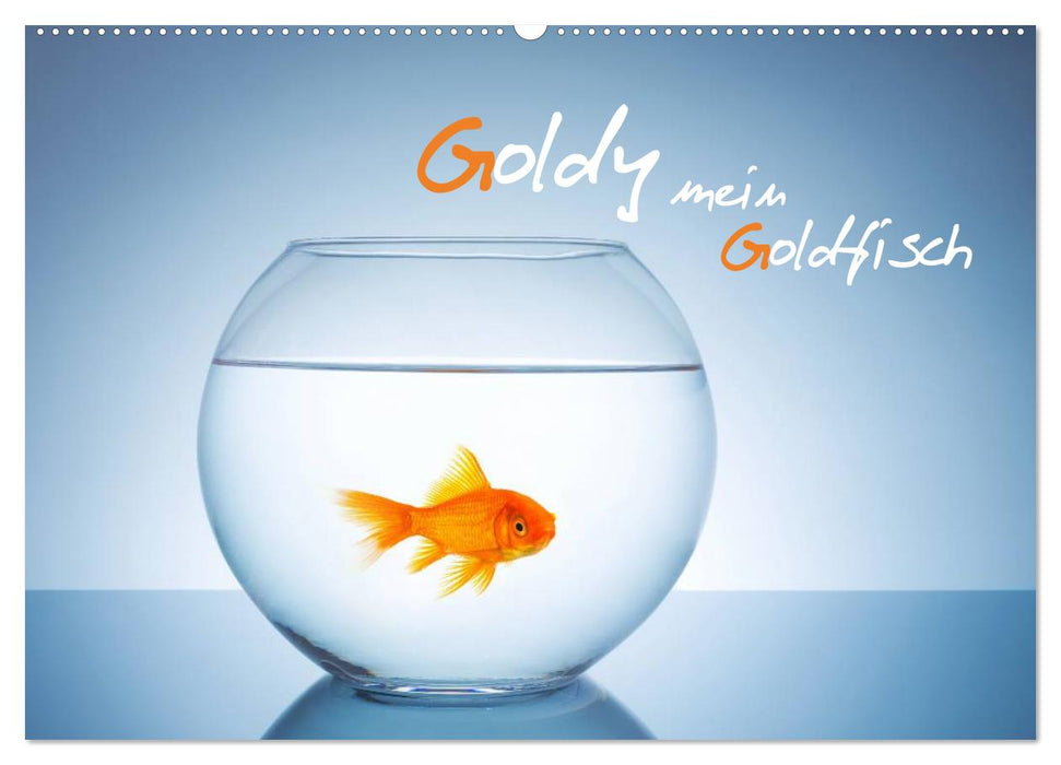 Goldy - mein Goldfisch (CALVENDO Wandkalender 2026)