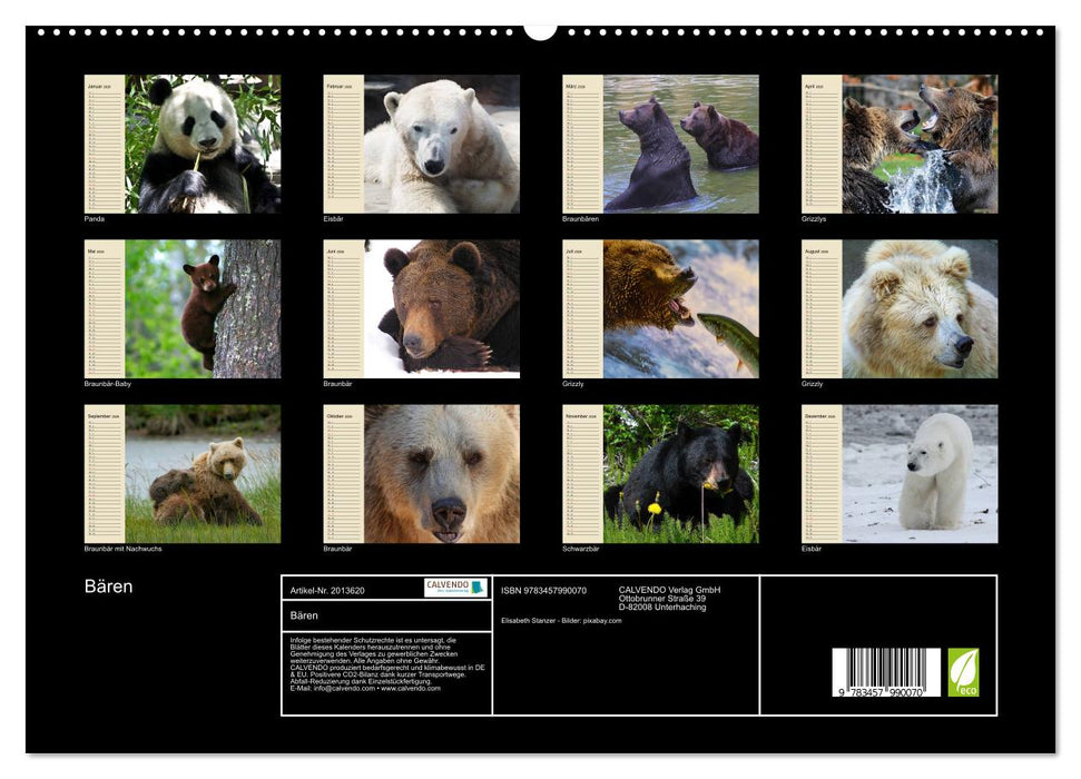 Bären (CALVENDO Premium Wandkalender 2026)