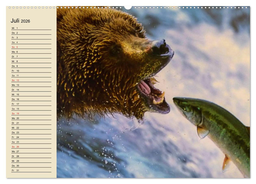 Bären (CALVENDO Premium Wandkalender 2026)
