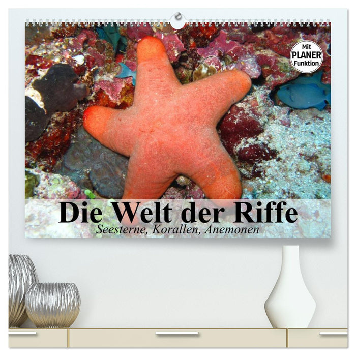 Die Welt der Riffe. Seesterne, Korallen, Anemonen (CALVENDO Premium Wandkalender 2026)