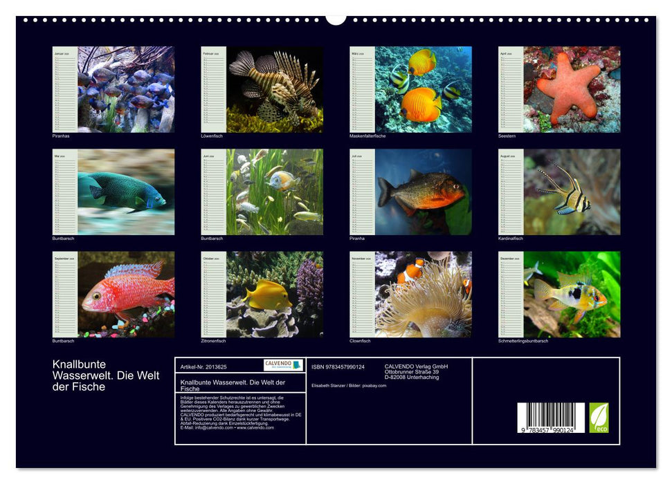 Knallbunte Wasserwelt. Die Welt der Fische (CALVENDO Premium Wandkalender 2026)